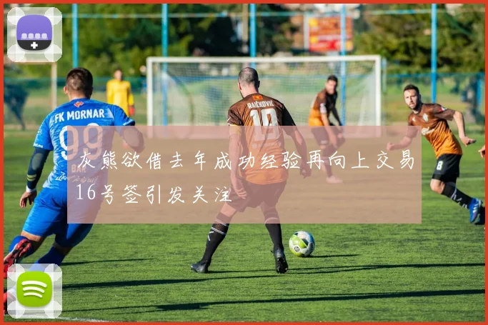 灰熊欲借去年成功经验再向上交易16号签引发关注