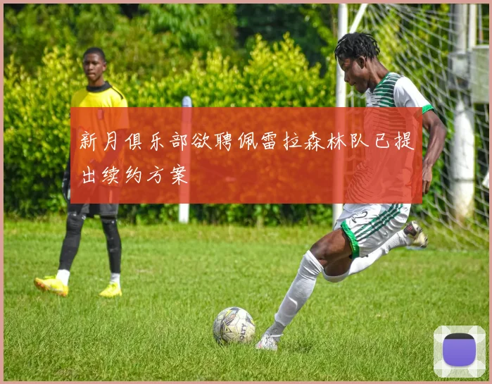 新月俱乐部欲聘佩雷拉森林队已提出续约方案